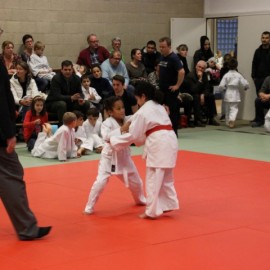 IMG 3096  Small - Judoclub Zaventem 